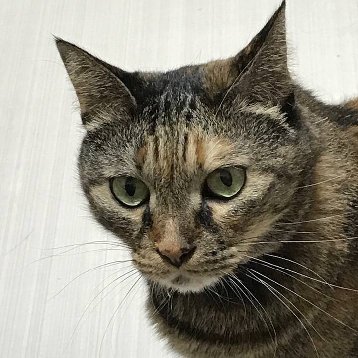 149ce21f cf99 4b33 8577 22377698df38 1536237351561