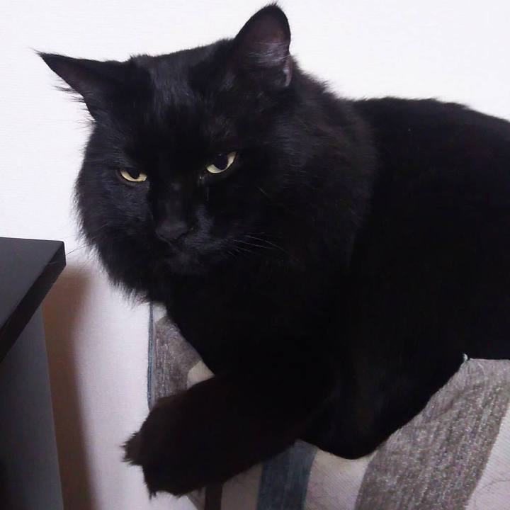 149d171b 6a0a 4dd7 bc52 5458b522b5f4 1511878432305