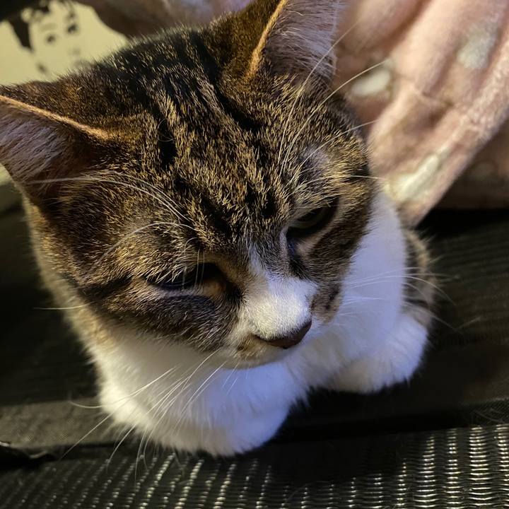 149d3a7a 2adf 4f8b 857e acbee8df7b78 1585707377132