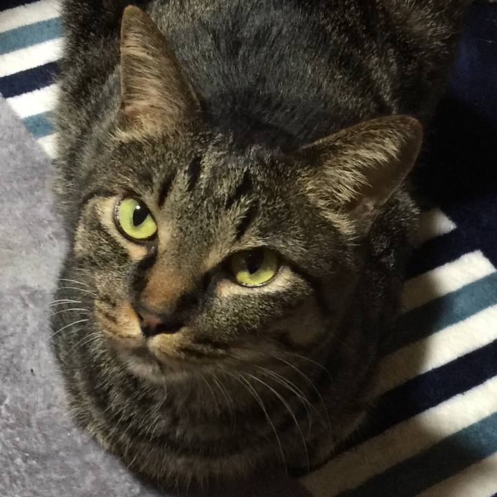 149d4514 1fdc 40a0 8ccc f08609dde277 1536104975022