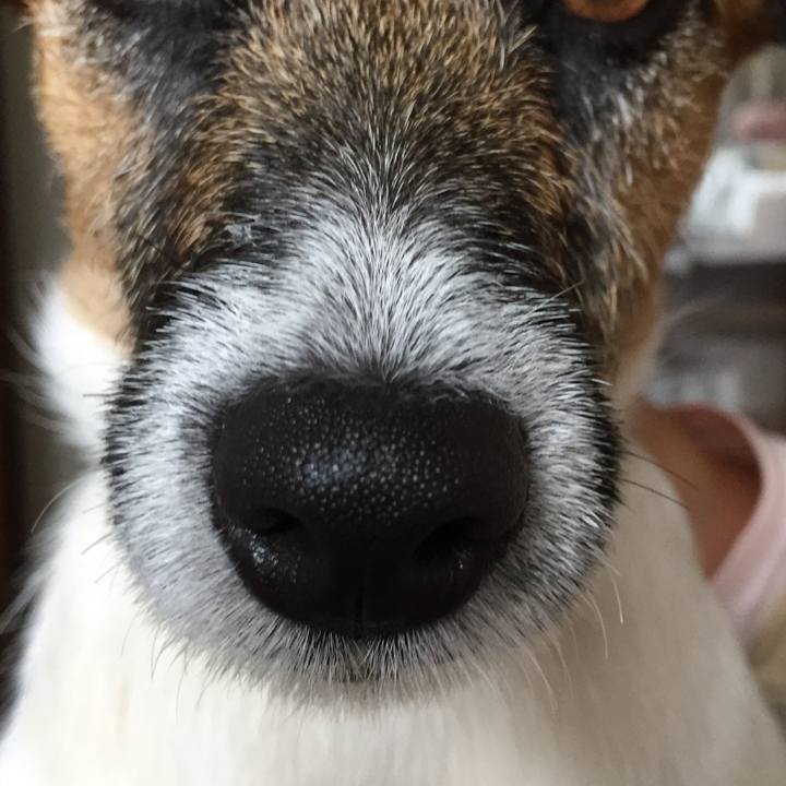 149d5646 b1fa 47d5 8369 1eae2e6e59d6 1523760552139