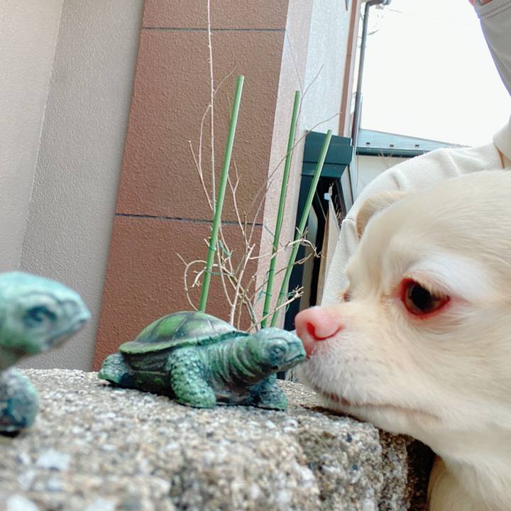 149d5ce4 711c 4600 b049 75af3f27205c 1646126466182