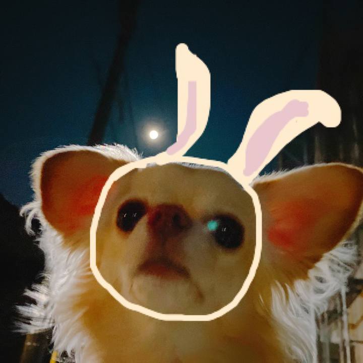 149d679c 50b5 4bcd a2ac 84240f90bc10 1642508137105