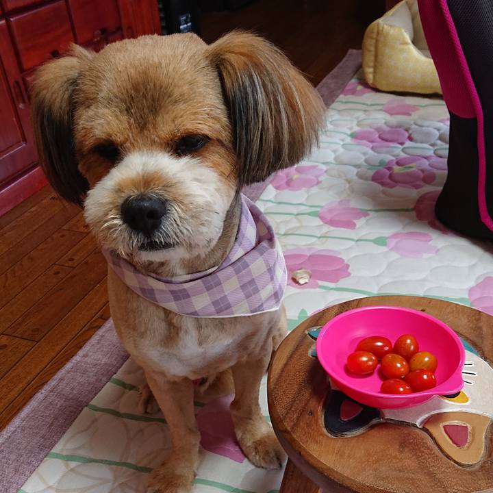 149d8e73 93f5 4b89 8658 04f57cdf75d2 1559946166086