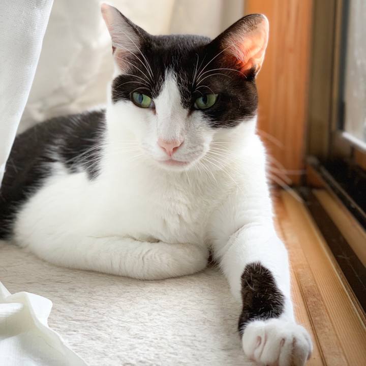 149dbc7a d57c 4332 be18 87d5fd1aae7a 1568683651492