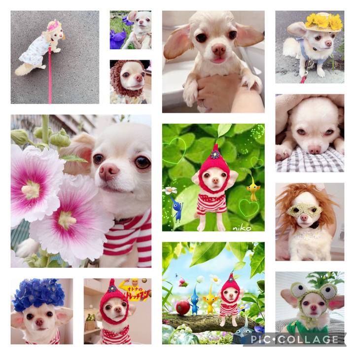 149dc800 7ab4 4746 841c ec5eaebcfca5 1697344977947