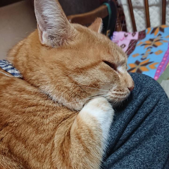 149e2476 a978 4ca3 91a6 c0cabe06ae43 1575156068910