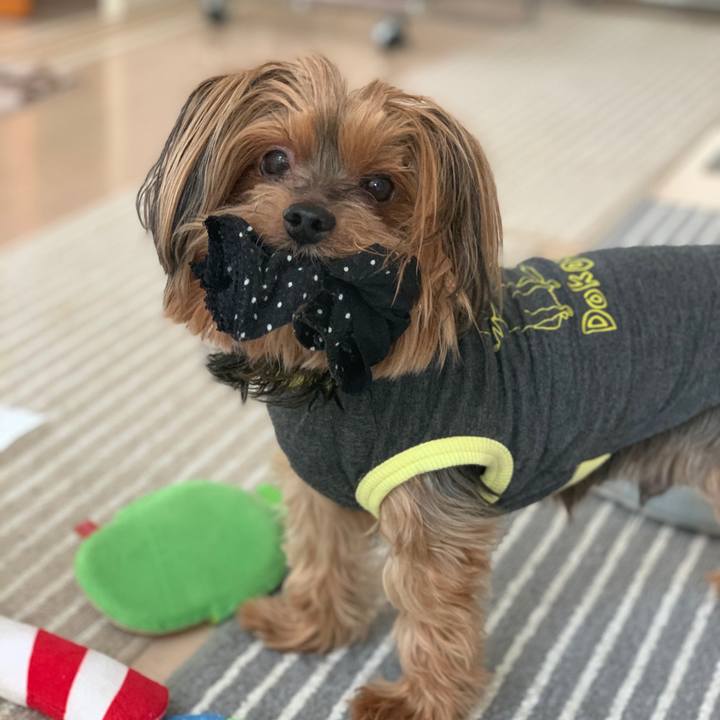 149e550c 4611 4c85 b98e 8d31a25c4d48 1603415366615