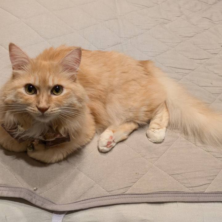 149e681d ac3d 4e26 ab76 f9b5faadd498 1725282781491