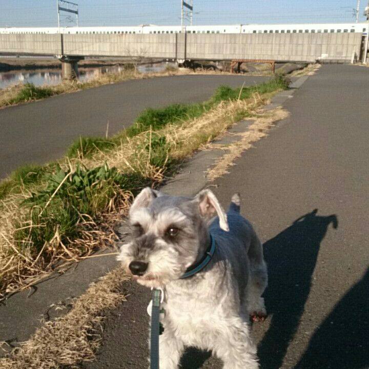 149e7ae0 9999 493c a80c 09a7cae7d417 1520055760820