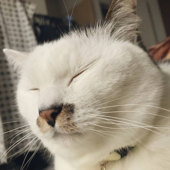 149e94f8 28fe 43f3 979c ee821520e6b7 1518583555585