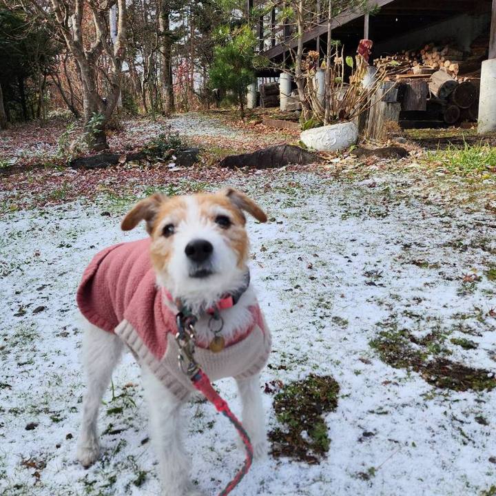 149e975a aac3 4c2b 9787 b0d372929145 1733628973651