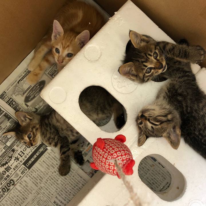 149ec034 f0ee 4b33 a577 acf2b0752457 1601009938999