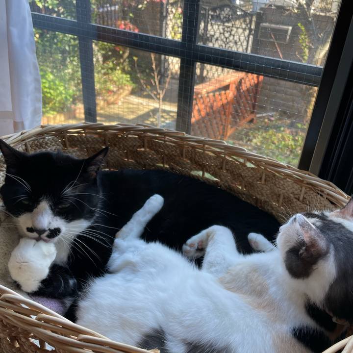 149ecdea 3591 4e31 a856 c2c980f0e8f9 1731901882937