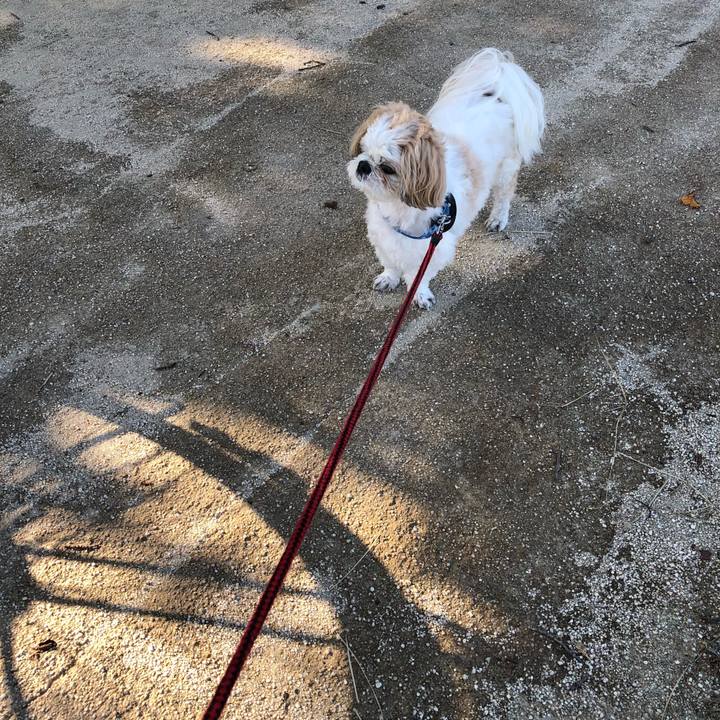 149ee3d3 5220 40f9 9df1 703ced7213f2 1540331579002