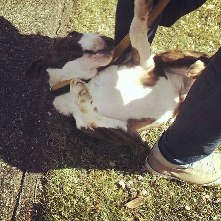 149f017e 71c9 4a0b 8b32 71bde2576bc9 1582516850177