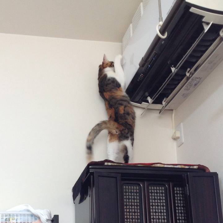 149f079e ce44 48a2 a47c 992cc86faf9b 1642741483709