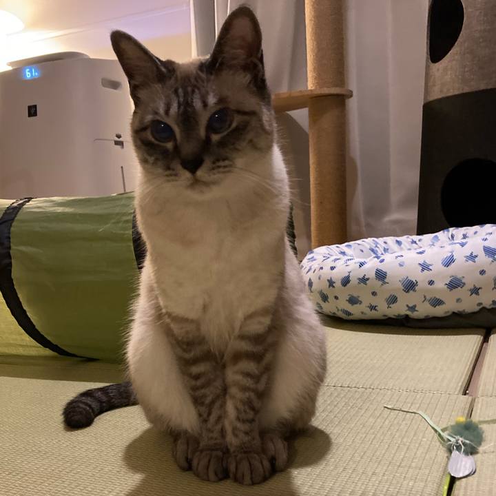 149f8616 cc4c 4c49 9472 8977953d8543 1622811113043