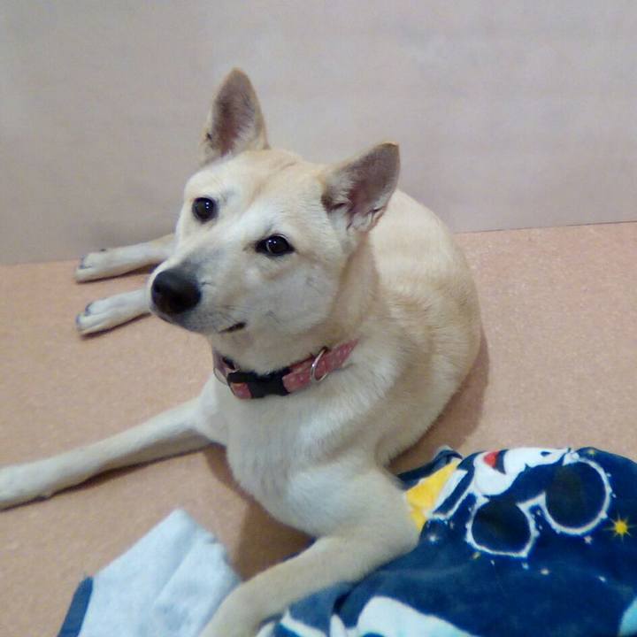 149f8ab8 e43f 434a 8d5f c49107b3369a 1526698181559