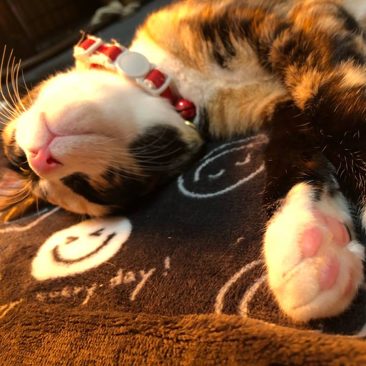 149f9627 e8bd 47fd 9c79 31e69404ba13 1547456966056