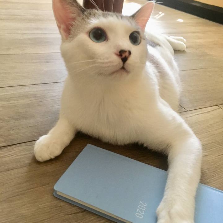 149f976c 1193 4858 ab8e 9afadc5a1f2f 1568599241014