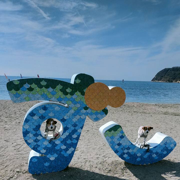 149f9fae a844 4d17 9502 74b5046c8ad7 1771055693483