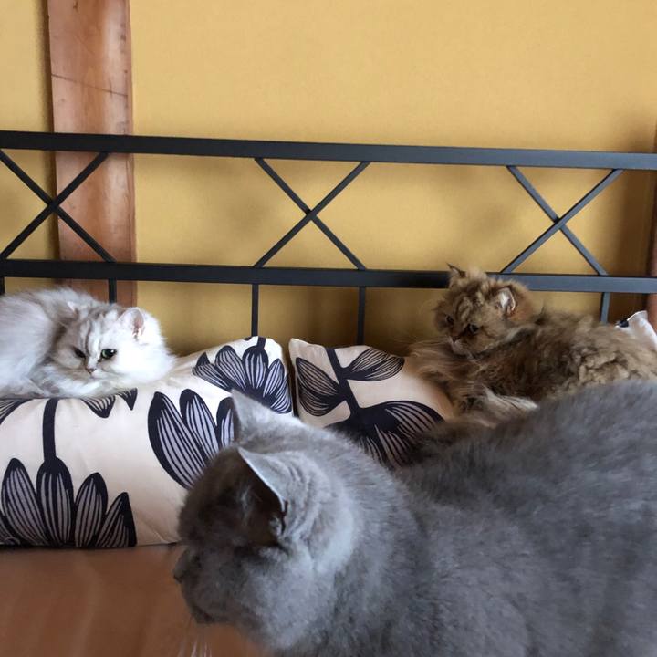 149fa5dc 66d4 47cf 973d ac2d981c0d3d 1617249590666