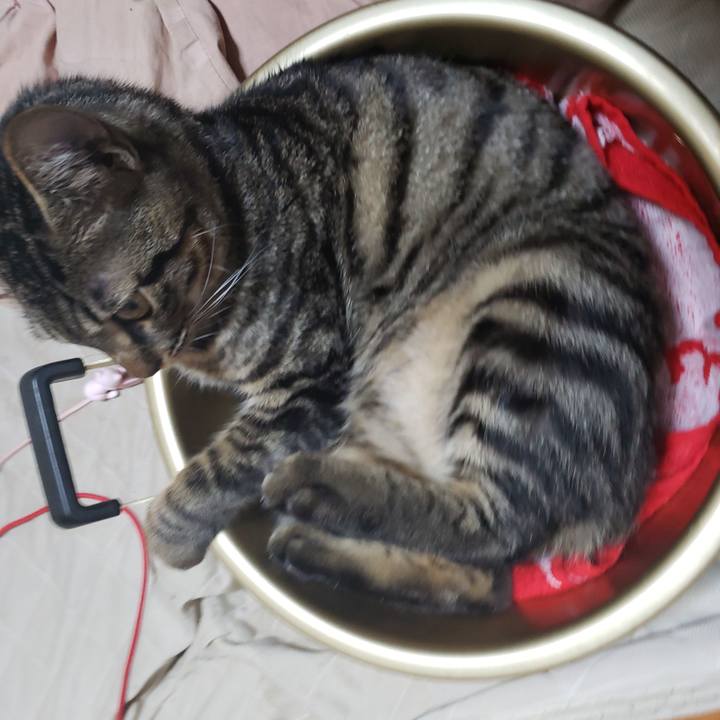 149fc39b 0f43 4990 a6fb a99288e329bd 1544876609697