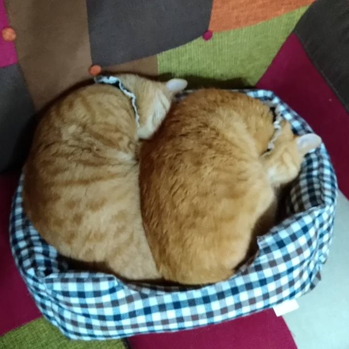 149fcb35 3bce 4621 8661 1dbe05f21c9b 1602146582313