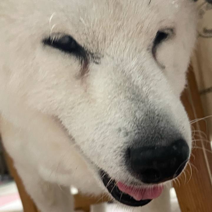 149fd318 c384 4446 b780 c0b3f241aacb 1761372269618