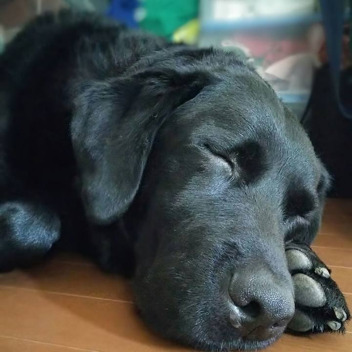 149fdfca c0b4 4079 89d4 e45e69d359a0 1691810149887