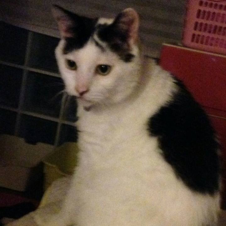 14a01b31 0ad9 4888 90fd 52bd74b0fe70 1538983011258