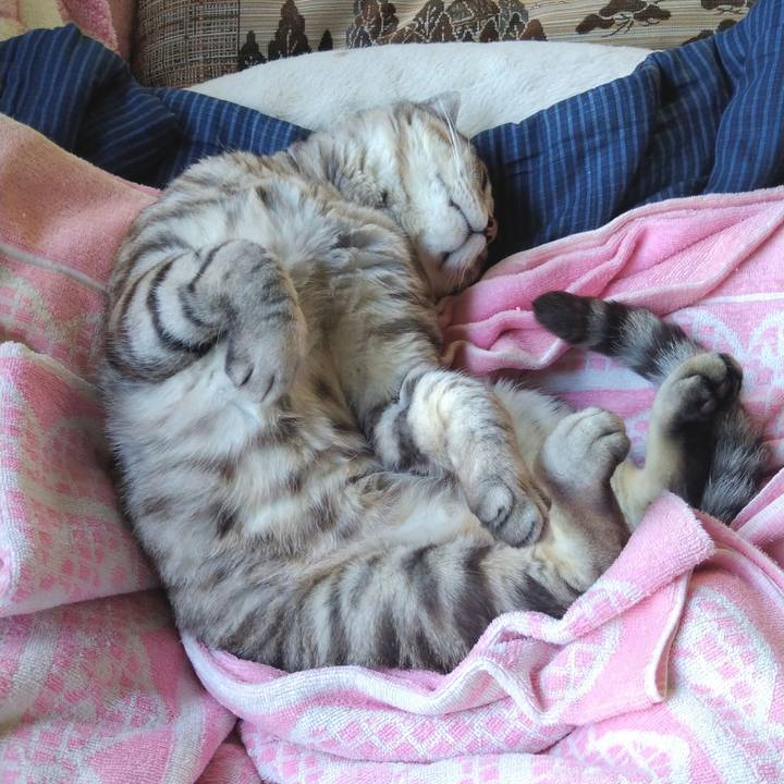 14a090a5 cda4 40ca 979c 14bba52eb272 1594049728403