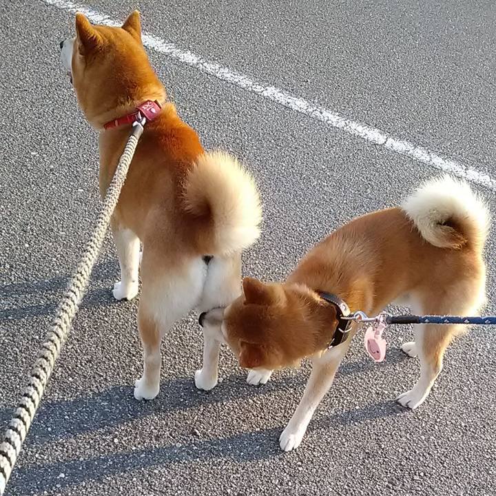 14a0b279 0fb6 4606 8d3d 35e2f89c9564 1593564169274