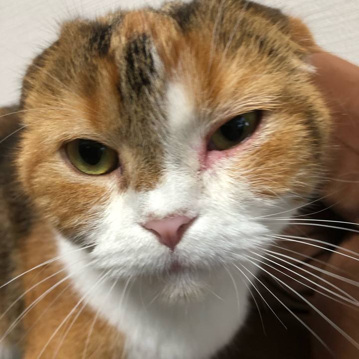 14a104e8 ba53 42cc aea7 c77a8f267f49 1565919554587