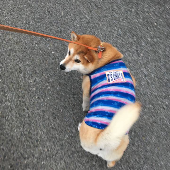 14a128c9 033e 408c 8b5b a5435ca7b63c 1570960108120