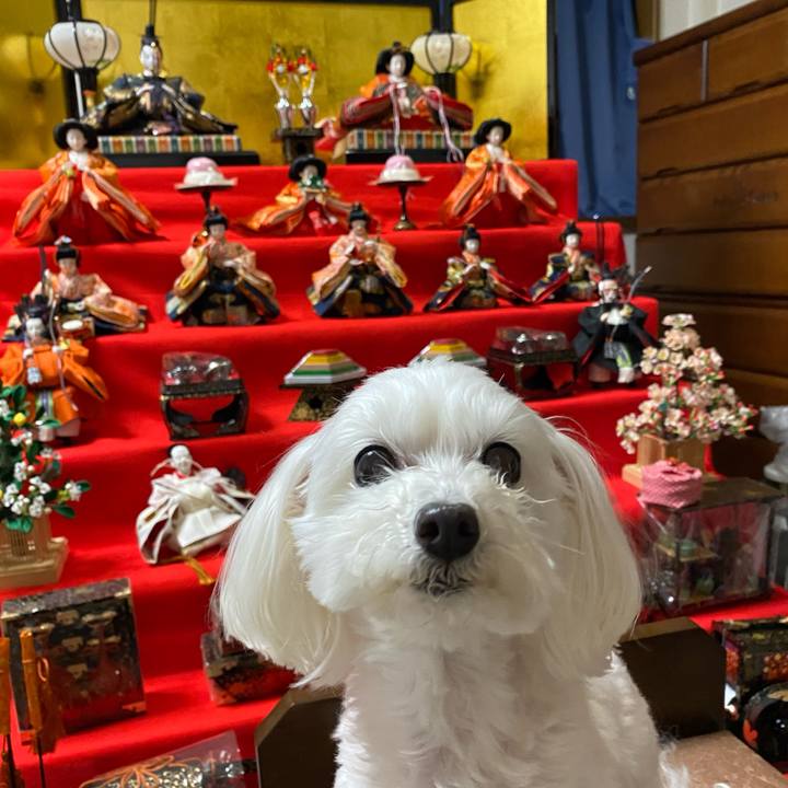 14a1750f 05b3 4fa7 98f8 8dd12a917c77 1646391807022