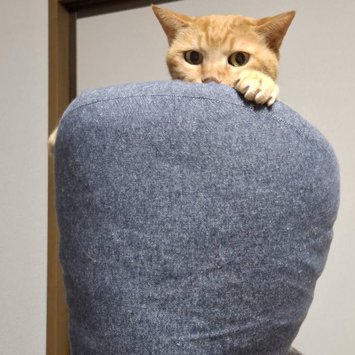 14a1d63f 5bc5 4481 89ae f04fa5f6629d 1758801828072