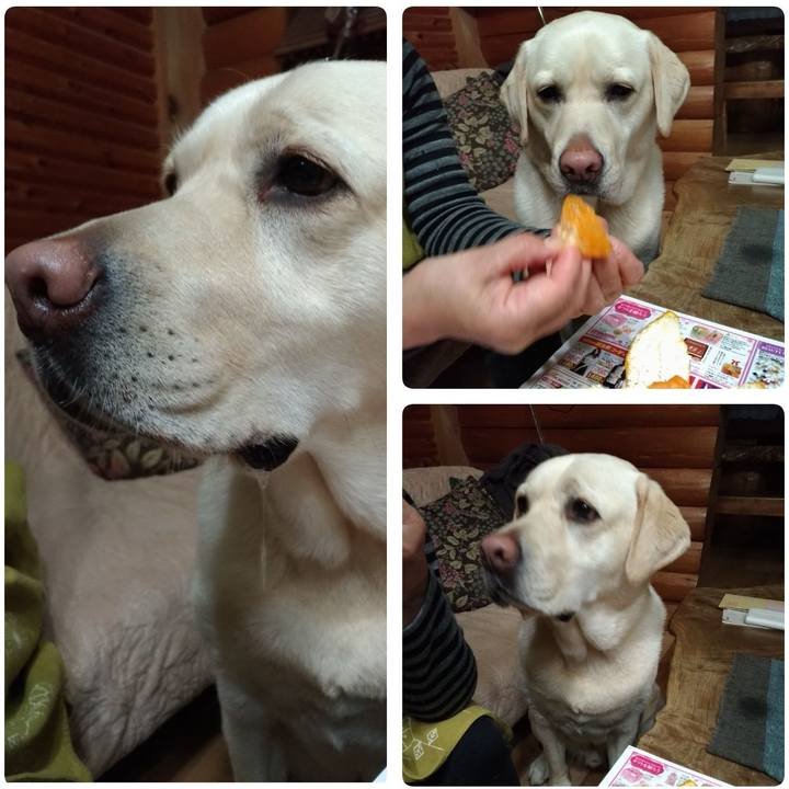 14a1e2fd 82b1 42bf a1c9 dc58b1d0f1cf 1553772277994