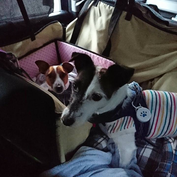 14a204aa b091 455c 90a0 00769115746c 1537654497424