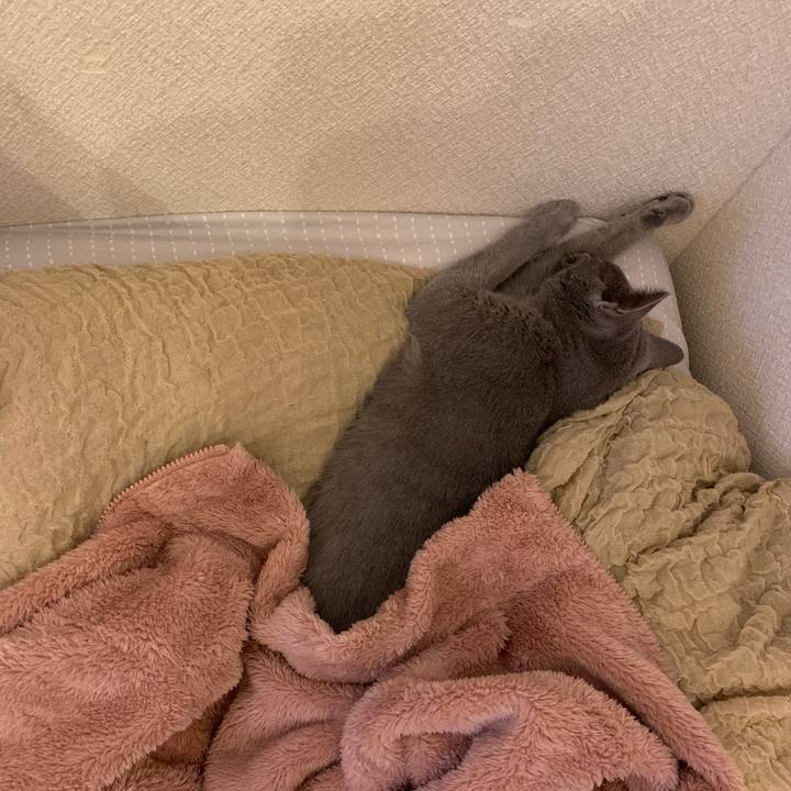 14a21529 aa4f 46c8 aed8 86f5cd00b146 1574579601556