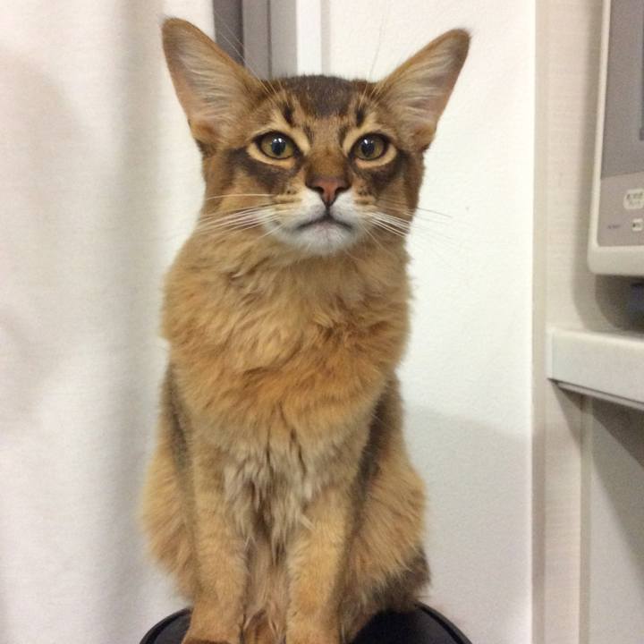 14a25301 38f6 4bbf a7d6 decba29067eb 1582976572407