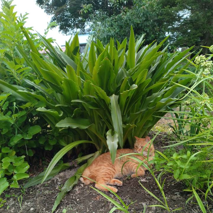 14a25ef4 c0d2 49c8 aa5d 85aea917ec7c 1688893680746