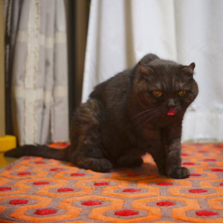 14a2987d 9bc8 4979 90eb 1413ec436f22 1626363518674