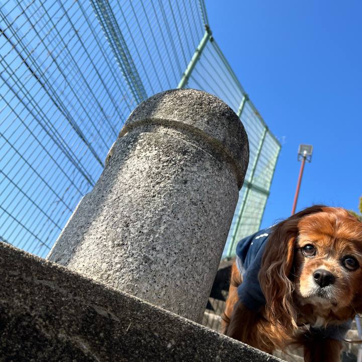 14a2abfd 8c34 4dcb 84c6 7bf8ae8b1e02 1741479486441