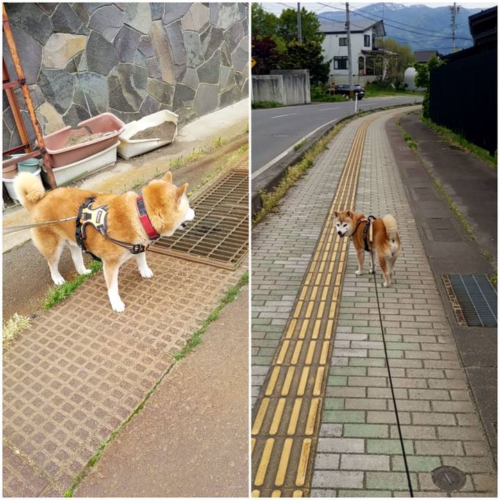 14a2e924 85de 46ce 8387 9df81a16f109 1746775429467