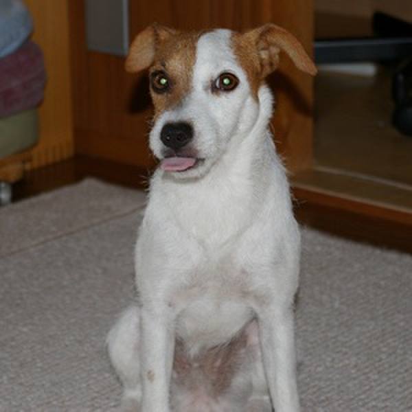 14a34758 1e71 4f71 b884 f5ec33a5295d 1591140860402