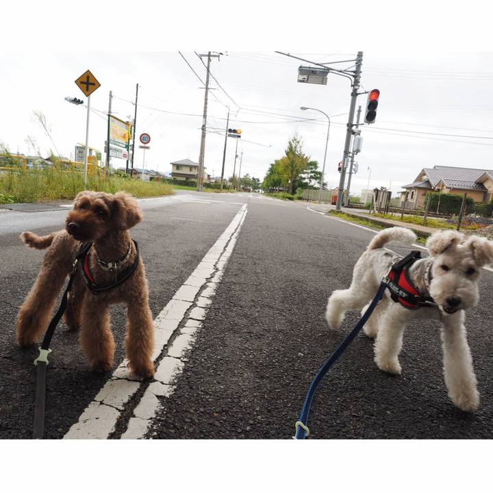 14a34c52 93ce 46ef 918f b833119fa98e 1538282676500