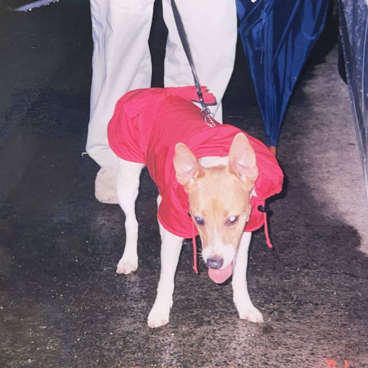 14a39fb3 a375 4428 bede 4b5c6ffe3470 1762691457012