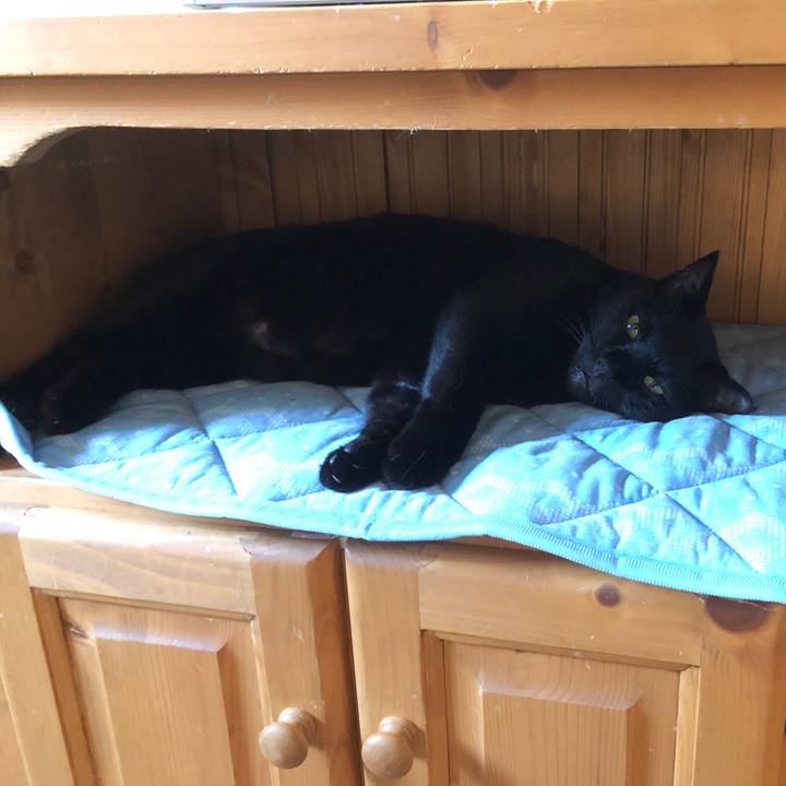 14a3b81c f186 490c b278 f34ab9411b67 1627769871160